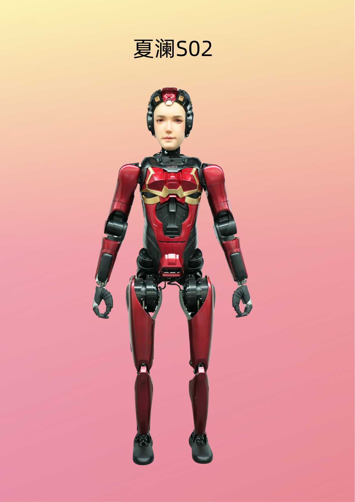 夏澜2.png