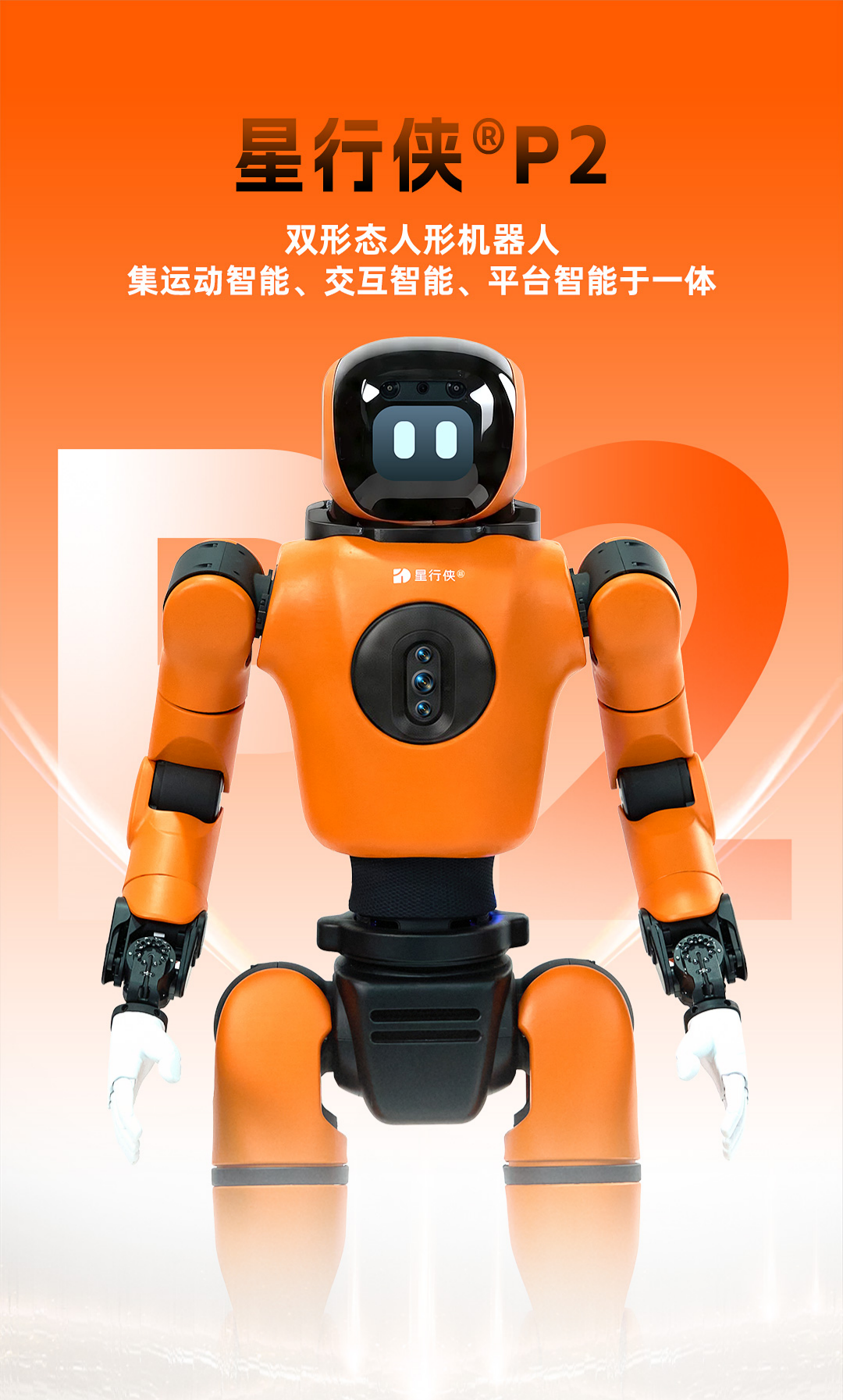 星行侠P2长图-首图.png